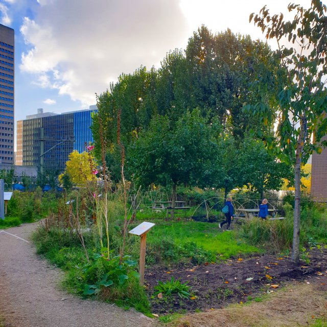 Rotterdam met kinderen en tieners: uitjes, restaurants en hotels. Vroeger stopte de trein van Rotterdam naar Scheveningen op Station Hofplein. Inmiddels stoppen er geen treinen meer. In de Hofbogen zitten nu restaurants, winkels en andere kleine ondernemers. Op het dak van het oude Station Hofplein zit Luchtpark Hofbogen. Dit is een park met een moestuin en picknickbanken.