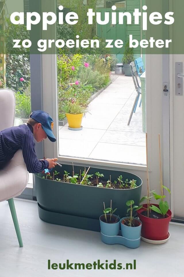 AH bloementuintjes en moestuintjes laten groeien: zo doen ze het beter. Vorig jaar had Albert Heijn moestuintjes om te sparen, dit jaar zijn het bloementuintjes! Veel gezinnen vinden het lastig om de AH bloementuintjes te laten groeien. Met deze tips zorg je dat de plantjes dit jaar opkomen én blijven leven.