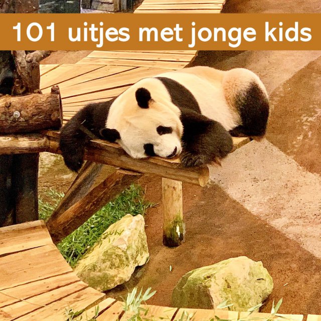 101 uitjes met jonge kinderen: peuters, kleuters en onderbouw kids. Met jonge kinderen kun je heel veel leuke uitjes doen in Nederland en België. Nu onze kinderen groter worden wordt het aantal mogelijkheden snel groter, maar ook met jonge peuters en kleuters kun je al heel veel leuke dingen doen. Ik maakte een lijstje van onze favorieten, in alle provincies. Er zitten zowel kindvriendelijke uitjes voor binnen als voor buiten tussen. Dit is Ouwehands Dierenpark in Rhenen in Utrecht.