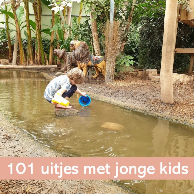 101 uitjes met jonge kinderen: peuters, kleuters en onderbouw kids. Met jonge kinderen kun je heel veel leuke uitjes doen in Nederland en België. Nu onze kinderen groter worden wordt het aantal mogelijkheden snel groter, maar ook met jonge peuters en kleuters kun je al heel veel leuke dingen doen. Ik maakte een lijstje van onze favorieten, in alle provincies. Er zitten zowel kindvriendelijke uitjes voor binnen als voor buiten tussen. Dit is de Orchideeënhoeve in Flevoland.