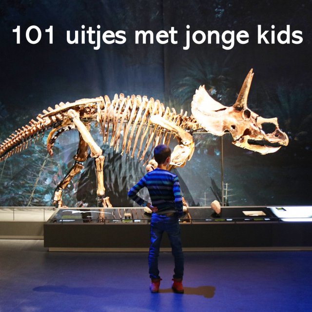 101 uitjes met jonge kinderen: peuters, kleuters en onderbouw kids. Met jonge kinderen kun je heel veel leuke uitjes doen in Nederland en België. Nu onze kinderen groter worden wordt het aantal mogelijkheden snel groter, maar ook met jonge peuters en kleuters kun je al heel veel leuke dingen doen. Ik maakte een lijstje van onze favorieten, in alle provincies. Er zitten zowel kindvriendelijke uitjes voor binnen als voor buiten tussen. Dit is museum Naturalis in Leiden in Noord Holland.