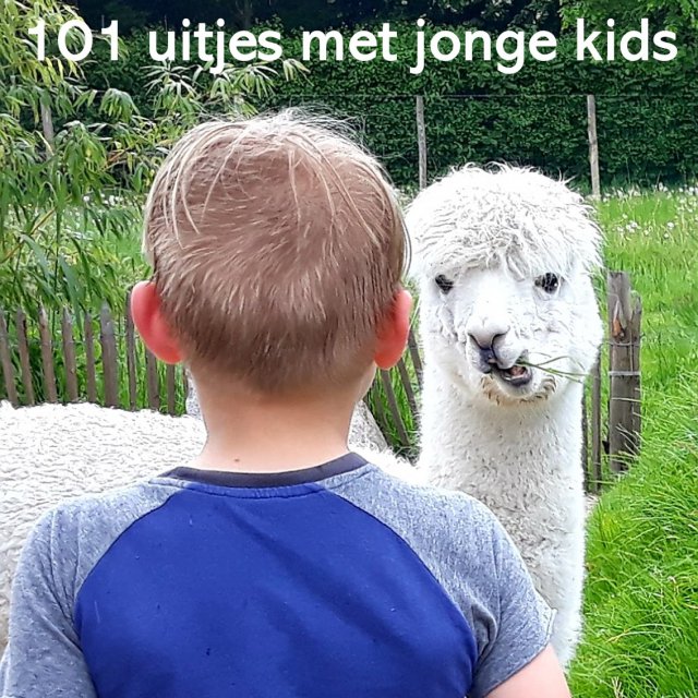 101 uitjes met jonge kinderen: peuters, kleuters en onderbouw kids. Met jonge kinderen kun je heel veel leuke uitjes doen in Nederland en België. Nu onze kinderen groter worden wordt het aantal mogelijkheden snel groter, maar ook met jonge peuters en kleuters kun je al heel veel leuke dingen doen. Ik maakte een lijstje van onze favorieten, in alle provincies. Er zitten zowel kindvriendelijke uitjes voor binnen als voor buiten tussen. Dit is Almere Jungle in Flevoland.