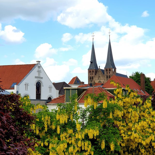 Bij de VVV op de Brink kun je souvenirs kopen, maar ook wandelingen. Er zijn verschillende wandelingen door het Bergkwartier in Deventer, een om met kinderen te doen en een met tieners. Wij kochten de wandeling voor kinderen. Het Bergkwartier is de mooie oude wijk aan de voet van de Bergkerk. Hier dwaal je door idyllische straatjes. 