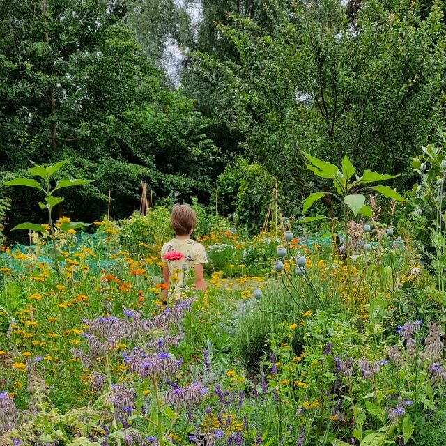 zo veel mooie bloemen op eetbaar eiland