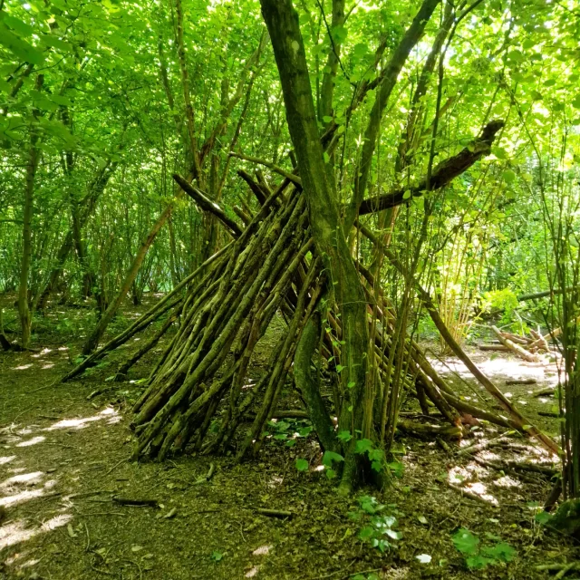 Het Horsterwold is een prachtig gebied om te bezoeken met kinderen. Wij gingen naar Speelbos de Zevensprong, dat heeft leuke kids wandelroutes en speeltuinen. Met kleintjes kun je het kabouterpad doen. Heb je grotere kids, dan plak je er het avonturenpad en speurpad aan vast. Op de route kom je naast kabouters ook allerlei speeltoestellen tegen.