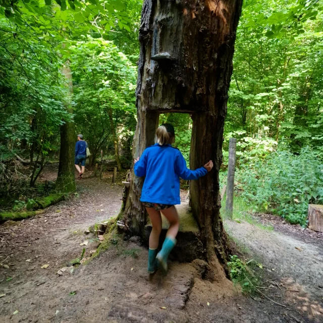 Het Horsterwold is een prachtig gebied om te bezoeken met kinderen. Wij gingen naar Speelbos de Zevensprong, dat heeft leuke kids wandelroutes en speeltuinen. Met kleintjes kun je het kabouterpad doen. Heb je grotere kids, dan plak je er het avonturenpad en speurpad aan vast. Op de route kom je naast kabouters ook allerlei speeltoestellen tegen.