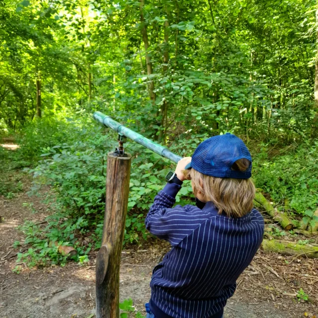 Het Horsterwold is een prachtig gebied om te bezoeken met kinderen. Wij gingen naar Speelbos de Zevensprong, dat heeft leuke kids wandelroutes en speeltuinen. Met kleintjes kun je het kabouterpad doen. Heb je grotere kids, dan plak je er het avonturenpad en speurpad aan vast. Op de route kom je naast kabouters ook allerlei speeltoestellen tegen.