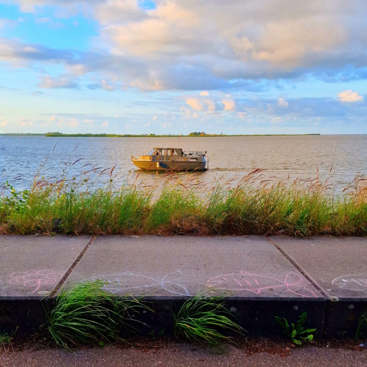 Stoepkrijt tekeningen maken: toffe tips en ideeën. Zoals deze visjes van stoepkrijt aan het water van het IJmeer.