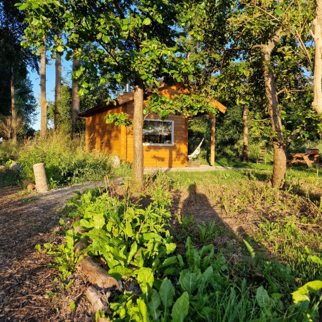 Je slaapt in een yurt, houten huisje of Bell tent.