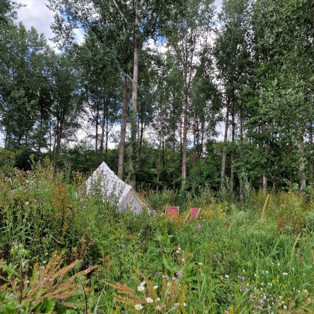 Je slaapt in een yurt, houten huisje of bell tent.