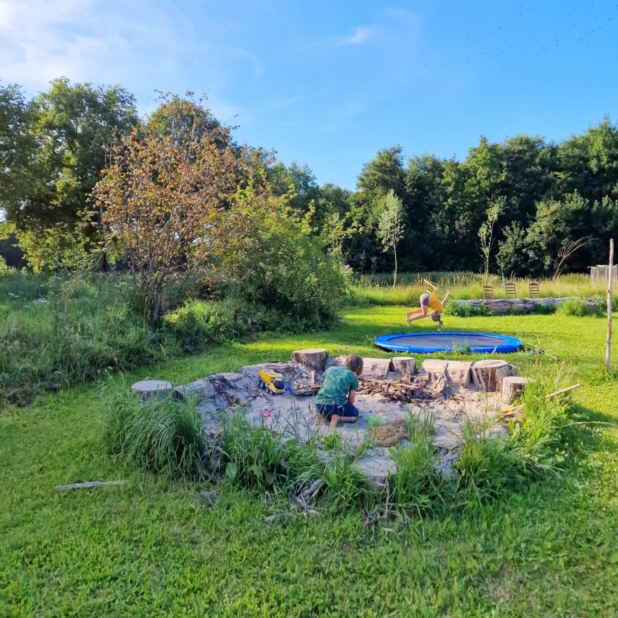 Terra Wolde met kinderen: eco buiten hotel en luxe camping. Natuurlijk is er een speeltuin met zandbak en trampoline.