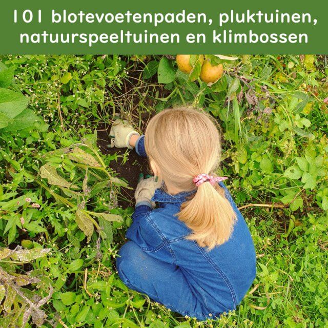 101 natuur uitjes met kinderen en tieners: blotevoetenpad, speelnatuur, natuurspeeltuin, pluktuin, dolhof of klimbos. Wat is heerlijk om de natuur in te gaan met kinderen en tieners en er zijn zo veel leuke uitjes! In deze blog vind je zulke uitjes met kinderen. We verzamelen de fijnste uitjes in heel Nederland. 