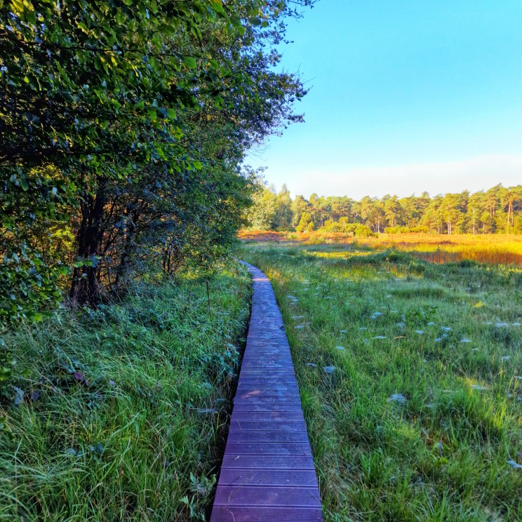 Woensdag maakte ik een stiltewandeling met Annemiek, in een natuurgebied niet ver van de B&B. Dat was een heel bijzondere ervaring. Door helemaal niks te zeggen, komen geluiden en beelden veel intenser binnen. Dat ga ik dus vaker doen en zeker ook aan de kids leren!