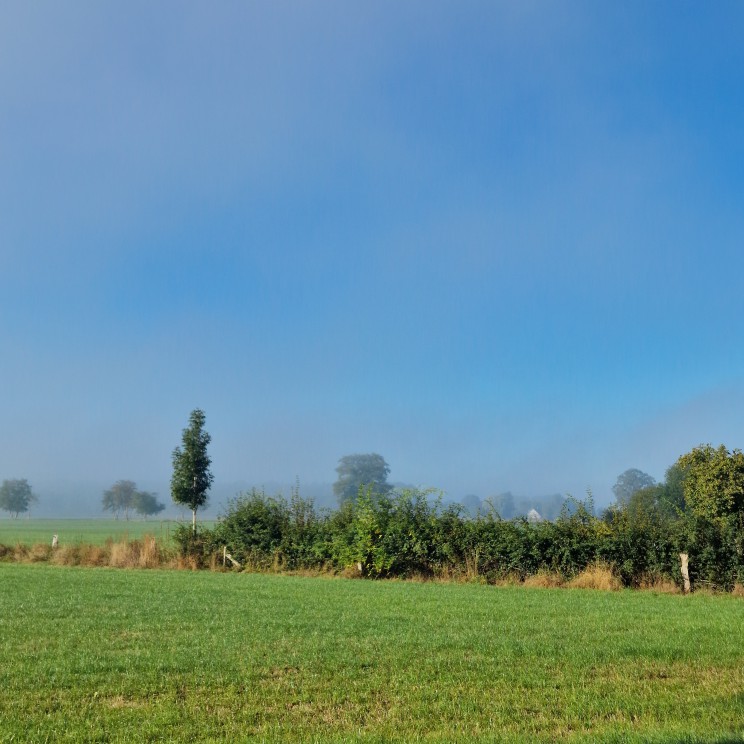 YOUcation in de Achterhoek: vakantie en verdieping voor moeders. B&B de Brenschutte ligt in het buitengebied van Laren, naast de boerderij waar Annemiek met haar gezin woont. De bed & breakfast bestaat uit twee gastenverblijven: de Boskamer en het Bloemenhuisje. Het uitzicht is super weids, dat geeft een heel ontspannen gevoel.