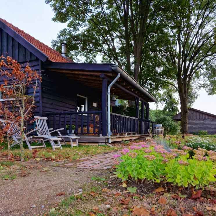 YOUcation in de Achterhoek: vakantie en verdieping voor moeders. B&B de Brenschutte ligt in het buitengebied van Laren, naast de boerderij waar Annemiek met haar gezin woont. De bed & breakfast bestaat uit twee gastenverblijven: de Boskamer en het Bloemenhuisje. Het uitzicht is super weids, dat geeft een heel ontspannen gevoel.