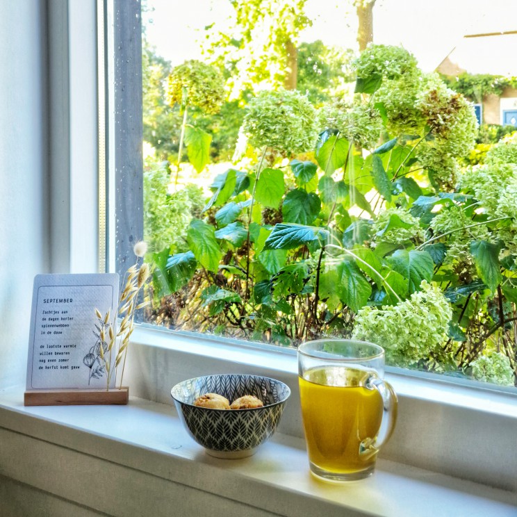 YOUcation in de Achterhoek: vakantie en verdieping voor moeders. Bij bed & breakfast de Brenschutte verbleef ik in het Bloemenhuisje. Deze studio heeft een zithoek, keuken met eettafel, een heerlijk tweepersoons bed en een badkamer. Buiten is er een terras met uitzicht over het landschap van de Achterhoek.