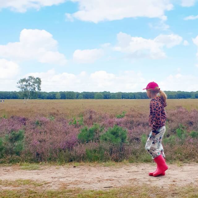 Wandelen met kinderen: onze favoriete wandelingen. De heide is zo prachtig voor een wandeling! Dit zijn onze favoriete heidegebieden voor een heidewandeling. Zoals de Bussumse Heide met restaurant Heidezicht.