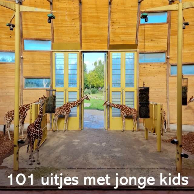 101 uitjes met jonge kinderen: peuters, kleuters en onderbouw kids. Met jonge kinderen kun je heel veel leuke uitjes doen in Nederland en België. Nu onze kinderen groter worden wordt het aantal mogelijkheden snel groter, maar ook met jonge peuters en kleuters kun je al heel veel leuke dingen doen. Ik maakte een lijstje van onze favorieten, in alle provincies. Er zitten zowel kindvriendelijke uitjes voor binnen als voor buiten tussen. Dit is dierentuin Blijdorp in Rotterdam.