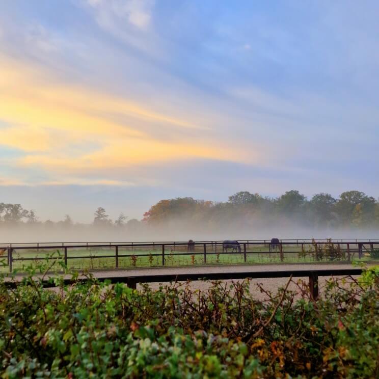 Uitzicht over het Achterhoekse platteland. 