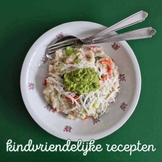 101 gezonde kindvriendelijke recepten: baby, peuter, kleuter & kind. Sinds de kinderen er zijn ben ik altijd op zoek naar recepten voor het gehele gezin. Ik zoek altijd naar dingen die lekker zijn voor kids en voor jezelf en bij voorkeur ook gezond. Om het boodschappen doen en koken makkelijker te maken verzamel ik recepten. Het zijn allerlei verschillende recepten, voor baby, peuter, kleuter en kind.