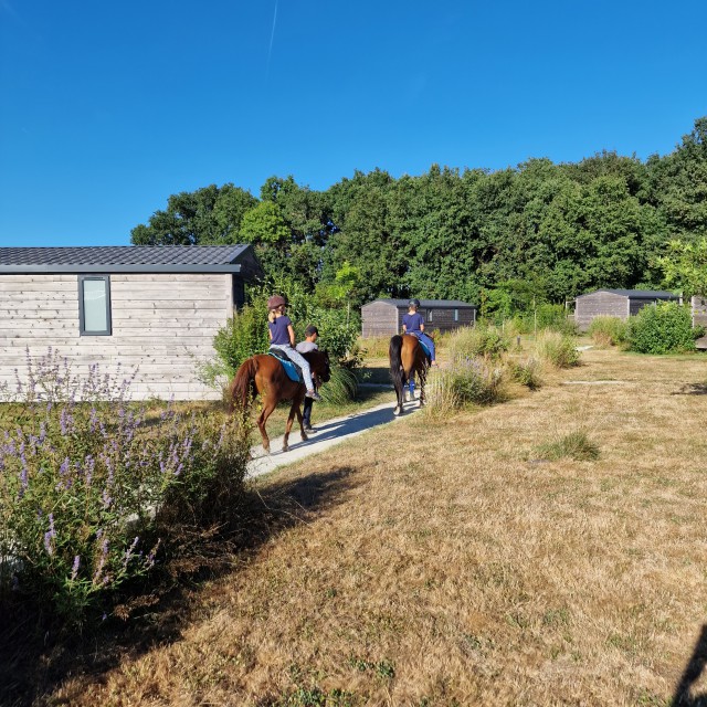Domaine de l’Oiselière review: eco camping in de Vendée. Een paar keer per week kwamen er mensen van een manege langs met paarden. Kinderen konden dan een rondje over de camping rijden op deze paarden en ponies. Dat vonden onze kids erg leuk.