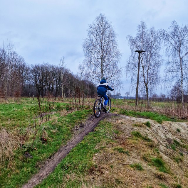 Landal Orveltermarke review kinderen en tieners: sporten en natuur. Gaaf voor oudere kinderen en tieners: er is een MTB technical trail. Je kunt hiervoor je eigen crossfiets gebruiken of bij Landal een MTB of ATB fiets huren.