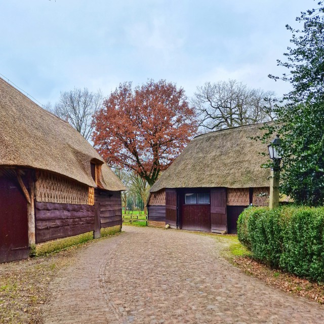 Museumdorp Orvelte is een brinkdorp in oude Drentse stijl herbergt winkeltjes, restaurants en een paar kleine musea. Daarnaast zit op de dorpsbrink een speeltuintje en een schaapskooi.