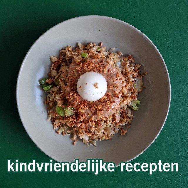101 gezonde kindvriendelijke recepten: baby, peuter, kleuter & kind. Sinds de kinderen er zijn ben ik altijd op zoek naar recepten voor het gehele gezin. Ik zoek altijd naar dingen die lekker zijn voor kids en voor jezelf en bij voorkeur ook gezond. Om het boodschappen doen en koken makkelijker te maken verzamel ik recepten. Het zijn allerlei verschillende recepten, voor baby, peuter, kleuter en kind. Zoals makkelijke gebakken rijst of nasi.