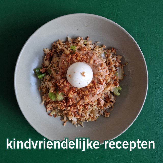 101 gezonde kindvriendelijke recepten: baby, peuter, kleuter & kind. Sinds de kinderen er zijn ben ik altijd op zoek naar recepten voor het gehele gezin. Ik zoek altijd naar dingen die lekker zijn voor kids en voor jezelf en bij voorkeur ook gezond. Om het boodschappen doen en koken makkelijker te maken verzamel ik recepten. Het zijn allerlei verschillende recepten, voor baby, peuter, kleuter en kind. Zoals makkelijke gebakken rijst of nasi. 