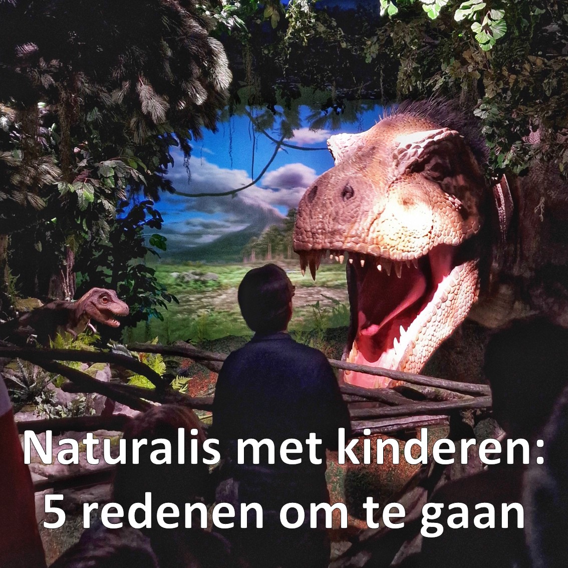 Museum Naturalis met kinderen: 5 redenen om te gaan