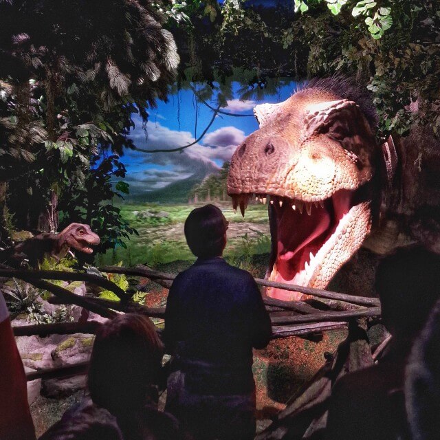 Museum Naturalis met kinderen: 5 redenen om te gaan. Inmiddels heeft Naturalis nog wat leuks: de Rexperience. In deze beleving reis je terug naar de tijd van T. rex Trix. Onder leiding van reisleider Dave (de vader uit De Regels Van Floor) kom je oog in oog met Trix te staan. Deze VR achtige beleving vonden de kinderen natuurlijk heel tof. De adviesleeftijd is 8 jaar.