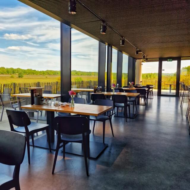 Wandelen in de Soesterduinen en naar restaurant Soesterdal. Op zoek naar een leuk uitje met kinderen in de buurt van Amersfoort, Zeist en Soest? Ga wandelen in de Soesterduinen en naar restaurant Soesterdal. 