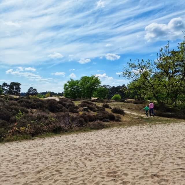 Wandelen in de Soesterduinen en naar restaurant Soesterdal. Op zoek naar een leuk uitje met kinderen in de buurt van Amersfoort, Zeist en Soest? Ga wandelen in de Soesterduinen en naar restaurant Soesterdal. 