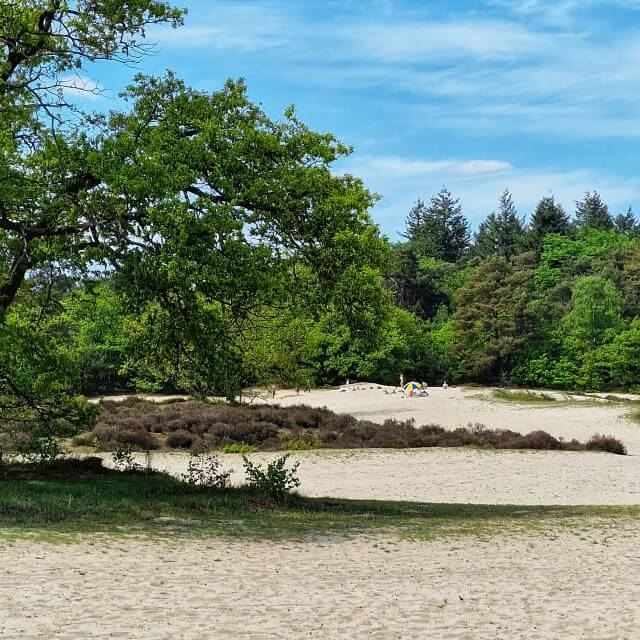 Wandelen in de Soesterduinen en naar restaurant Soesterdal. Op zoek naar een leuk uitje met kinderen in de buurt van Amersfoort, Zeist en Soest? Ga wandelen in de Soesterduinen en naar restaurant Soesterdal. 