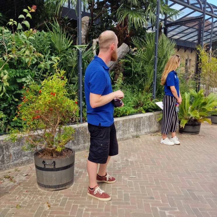 Zoomeravonden in Artis Amsterdam: leuk zomervakantie uitje. Iedere zomervakantie zijn in dierentuin Artis in Amsterdam de Zoomeravonden, een leuk uitje met kinderen. Met picknick, livemuziek en meer. Ik ging er met dochterlief heen, kijk je mee?