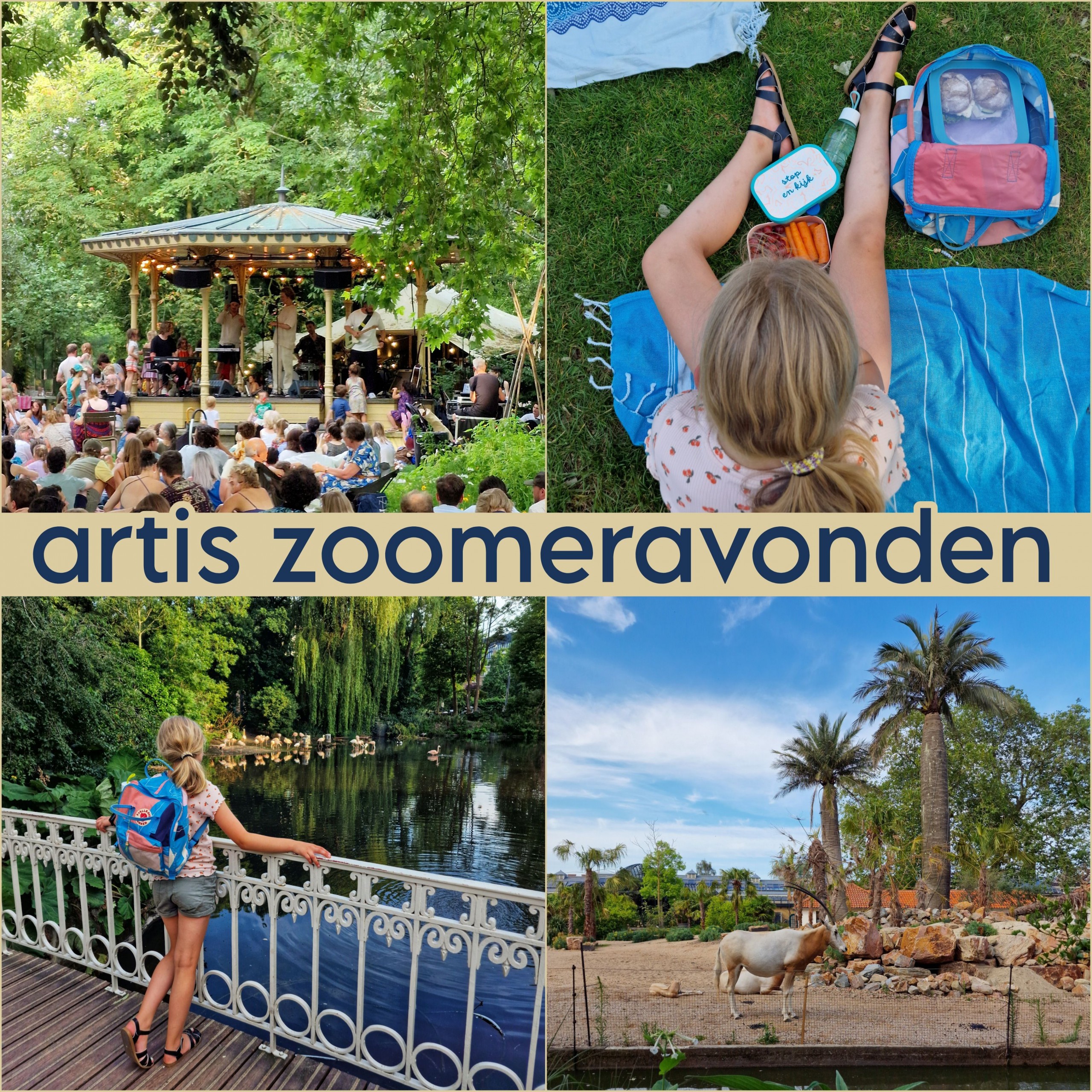 Zoomeravonden in Artis Amsterdam: leuk zomervakantie uitje. Iedere zomervakantie zijn in dierentuin Artis in Amsterdam de Zoomeravonden, een leuk uitje met kinderen. Met picknick, livemuziek en meer. Ik ging er met dochterlief heen.