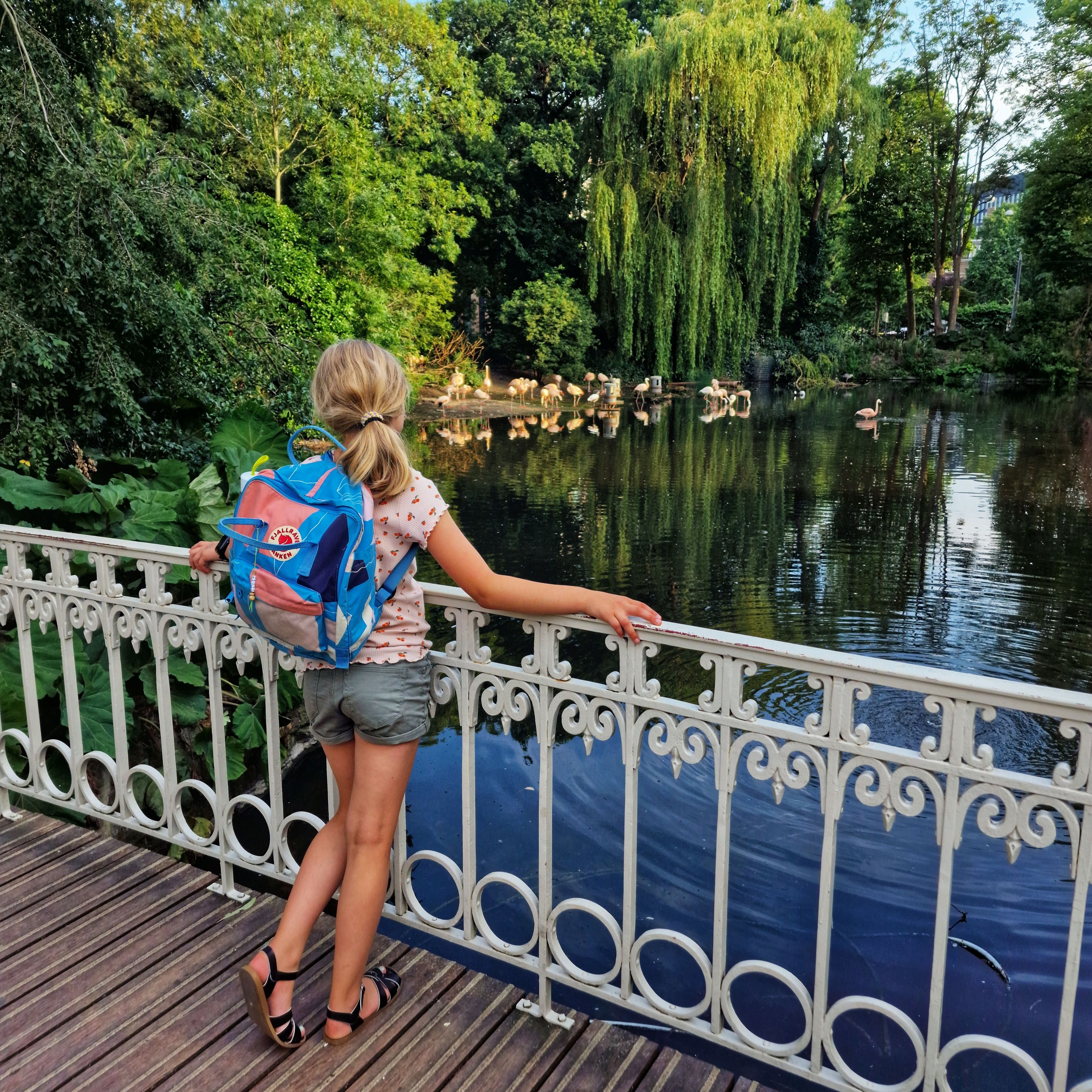 Zoomeravonden in Artis Amsterdam: leuk zomervakantie uitje. Iedere zomervakantie zijn in dierentuin Artis in Amsterdam de Zoomeravonden, een leuk uitje met kinderen. Met picknick, livemuziek en meer. Ik ging er met dochterlief heen, kijk je mee?