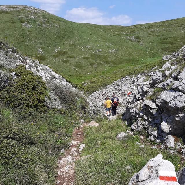 Het Meer van Ohrid in Noord Macedonië met kinderen en tieners. Roos, Bas en zoon Taik gingen dit jaar op vakantie in de buurt van het Meer van Ohrid. Ze vertelt je alles over dit deel van Noord Macedonië, een bijzondere plek voor vakantie met kinderen en tieners. Met de stad Ohrid, het Meer van Ohrid, het Prespameer, Nationaal Park Galičica, Struga en rivier de Zwarte Drin. Dit is Nationaal Park Galičica.