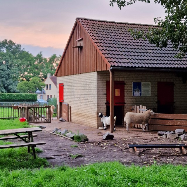 Vakantiepark 't Broekhuijs bij Nijmegen is een goed onderhouden kleinschalig park, met heel veel faciliteiten waar de kinderen blij van worden. Aan het meer is ook de houten speeltuin, met speelkasteel, schommel, wipwap en trampoline. Ook zijn er tafeltennistafels, waaronder een grappige met vier zijden. Ernaast ligt ook een kleine kinderboerderij. Binnen is er voor jonge kinderen ook nog een kleine binnenspeeltuin. Voor tieners is er een ruimte met airhockey, biljart en dartboards.