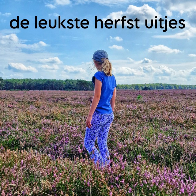 Herfst uitjes voor kinderen: tips om samen naar buiten te gaan. Het wordt langzaamaan kouder en natter buiten, maar gelukkig zijn er nog genoeg lekkere dagen. Daarom maakte ik een lijst met herfst uitjes voor kinderen, vol tips om lekker samen naar buiten te gaan! Heel veel van deze uitjes zijn gratis of goedkoop. 