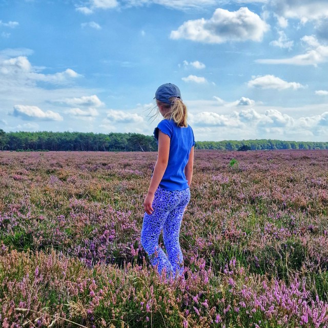 Onze kids bucketlist voor deze herfst: herfstvakantie activiteiten. De heide is zo prachtig voor een wandeling! Dit zijn onze favoriete heidegebieden voor een heidewandeling. Zoals de Bussumse Heide met restaurant Heidezicht.