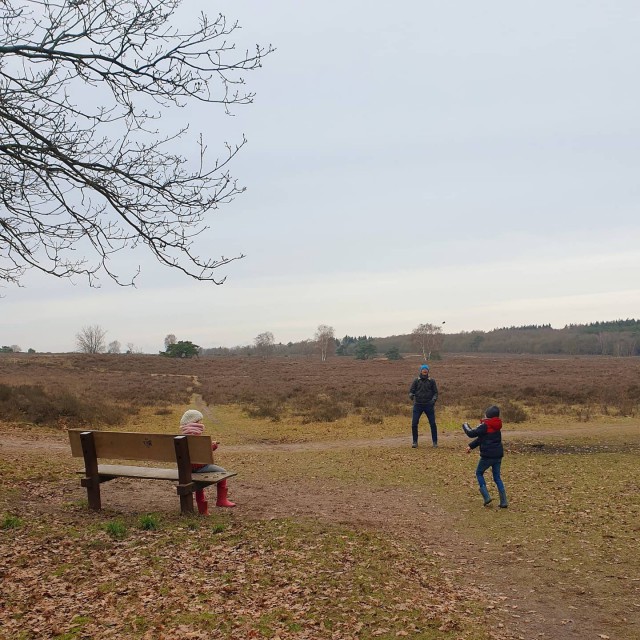 Onze favoriete heidegebieden voor een heidewandeling. De heide is zo prachtig voor een wandeling! Dit zijn onze favoriete heidegebieden voor een heidewandeling. De weidsheid van de Hoorneboegse Heide is heerlijk. Maar er is ook bos, die combinatie vind ik fijn. En die witte runderen zijn natuurlijk ook prachtig. Wat lekkers vind je bij Bij De Tuinman.