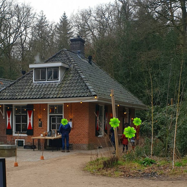 Onze favoriete heidegebieden voor een heidewandeling. De heide is zo prachtig voor een wandeling! Dit zijn onze favoriete heidegebieden voor een heidewandeling. De weidsheid van de Hoorneboegse Heide is heerlijk. Maar er is ook bos, die combinatie vind ik fijn. En die witte runderen zijn natuurlijk ook prachtig. Wat lekkers vind je bij Bij De Tuinman.