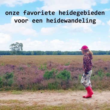 Onze favoriete heidegebieden voor een heidewandeling. De heide is zo prachtig voor een wandeling! Dit zijn onze favoriete heidegebieden voor een heidewandeling.