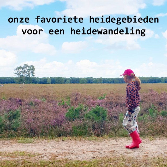 Onze favoriete heidegebieden voor een heidewandeling. De heide is zo prachtig voor een wandeling! Dit zijn onze favoriete heidegebieden voor een heidewandeling. 