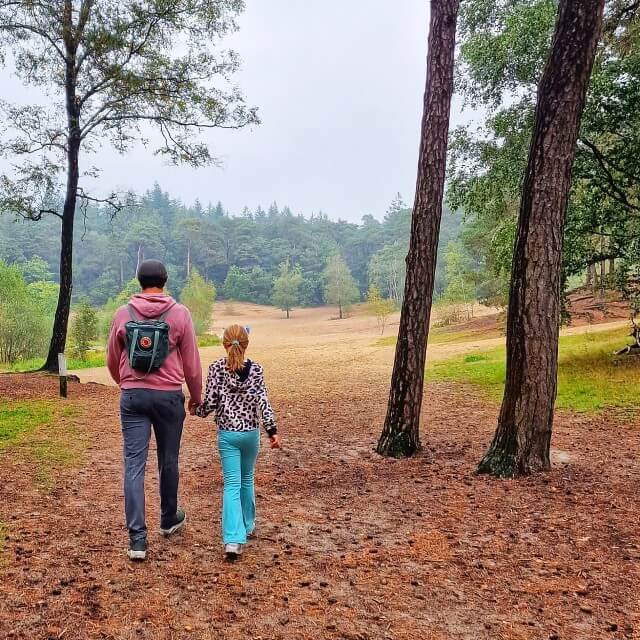 Je vindt in de omgeving van RCN Camping het historische stadjes en oude kastelen zoals in Amerongen, Doorn en Zeist. Maar er is ook veel bosgebied van het Nationaal Park Utrechtse Heuvelrug om lekker te wandelen. Verder zijn er veel mountainbike routes en leuke fietsroutes door de bosrijke omgeving. 