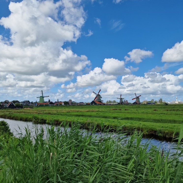 Openluchtmuseum Zaanse Schans en Zaans Museum met kinderen. Denk jij bij de Zaanse Schans aan toeristen? Zonde, want het is een heel leuk uitje met kinderen. Met leuke dingen binnen en buiten, dus ook geschikt voor een wisselvallige dag. Dit zijn onze tips met kinderen in openluchtmuseum Zaanse Schans, het Zaans Museum en de Verkade Experience.