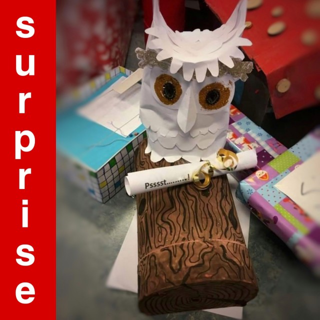 Sinterklaas surprise maken: leuke ideeën om te knutselen. De dochter van Kjersti kreeg deze gedetailleerde Harry Potter uil genaamd Hedwig, van een klasgenootje. 