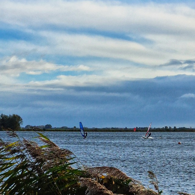 Review Landal Reeuwijkse Plassen met kinderen. Aan het strand van de Reeuwijkse Plassen zit een windsurfclub.