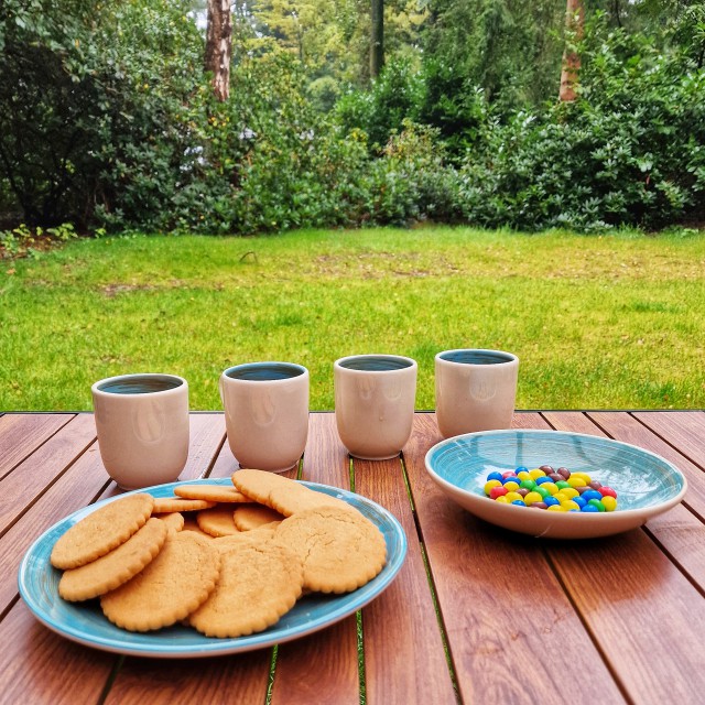 RCN Camping het Grote Bos in Doorn: review met kinderen. Wij verbleven in chalet Reehorst. Het huisje was modern en van alle gemakken voorzien. Daarnaast had de woonkamer veel ramen, zodat het licht en ruim lijkt. Het belangrijkste voor ons zijn goede bedden, een vaatwasser en een goed koffiezetapparaat, die waren aanwezig.